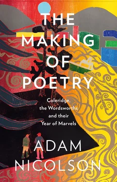 Adam Nicolson The Making of Poetry: Coleridge, the Wordsworths and Their Year of Marvels обложка книги