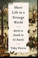 Toby Ferris - Short Life in a Strange World - Birth to Death in 42 Panels