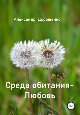 Александр Дорошенко Среда обитания – Любовь обложка книги