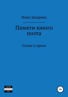 Нина Захарина Памяти юного поэта обложка книги