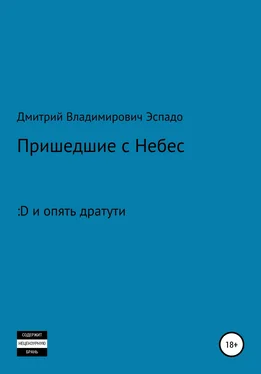 Дмитрий Эспадо Пришедшие с Небес обложка книги