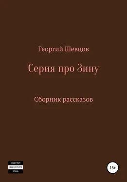 Георгий Шевцов Серия про Зину Сборник рассказов обложка книги