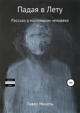 Павел Михель Падая в Лету обложка книги
