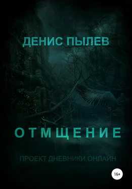 Денис Пылев Отмщение обложка книги