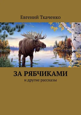 Евгений Ткаченко За рябчиками. И другие рассказы обложка книги