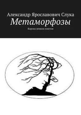 Александр Слука Метаморфозы. Корона венков сонетов обложка книги