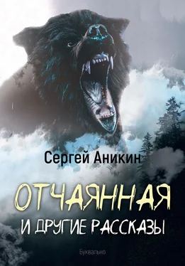 Сергей Аникин Отчаянная и другие рассказы обложка книги