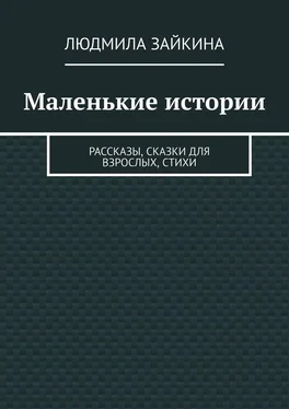 Людмила Зайкина Маленькие истории. Рассказы, сказки для взрослых, стихи обложка книги