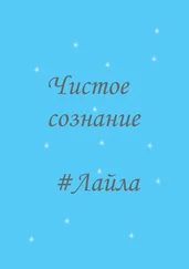 Лайла Мальцева - Чистое сознание