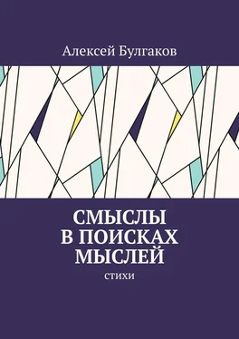 Алексей Булгаков Смыслы в поисках мыслей. Стихи обложка книги