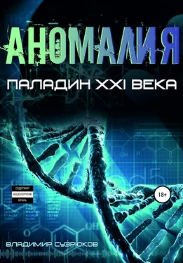 Владимир Сузрюков Паладин XXI века. Аномалия обложка книги