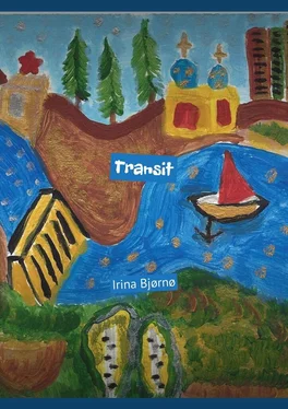 Irina Bjørnø Transit обложка книги