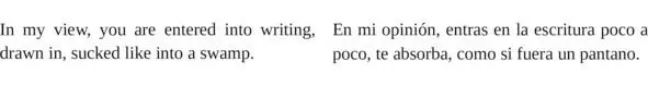 Exercise 3 Translate the story into English Ser escritor En mi opinión - фото 5