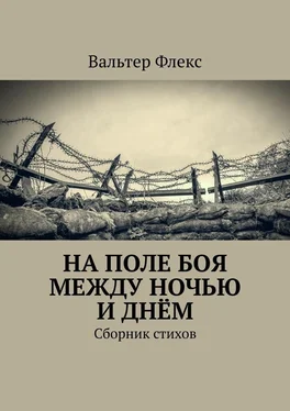 Вальтер Флекс На поле боя между ночью и днём. Сборник стихов обложка книги