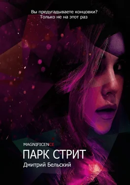 Дмитрий Бельский Парк Стрит обложка книги
