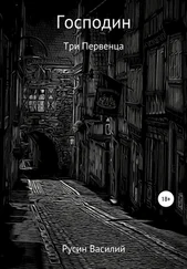 Василий Русин - Господин