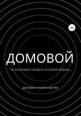 Даниил Колотыгин Домовой обложка книги