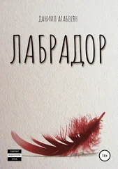 Даниил Агабекян - Лабрадор