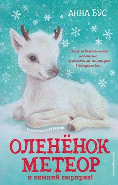 Анна Бус Оленёнок Метеор и зимний сюрприз! обложка книги