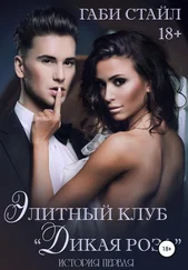 Габи Стайл - Элитный клуб «Дикая Роза». История Первая