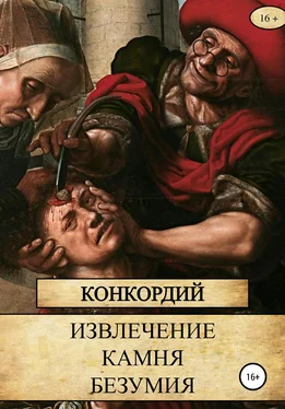 Конкордий Извлечение Камня безумия обложка книги