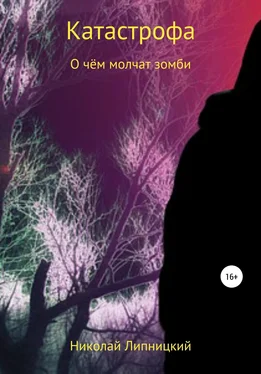 Николай Липницкий О чём молчат зомби обложка книги
