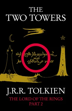 John Tolkien The Two Towers обложка книги