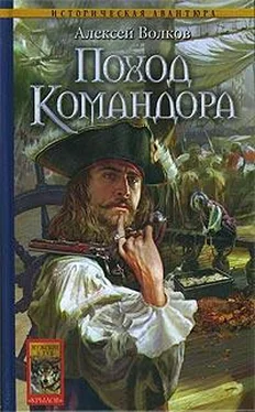 Алексей Волков Поход Командора обложка книги