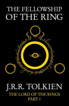 John Tolkien The Fellowship of the Ring обложка книги