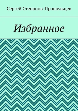 Сергей Степанов-Прошельцев Избранное обложка книги
