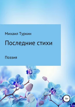 Михаил Туркин Последние стихи обложка книги