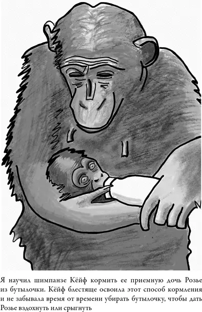 Та не стала сразу подхватывать малышку на руки а подошла к решетке за которой - фото 4