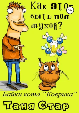 Таня Стар Как это, быть под мухой? Книга вторая. Серия «Байки кота Коврика». обложка книги