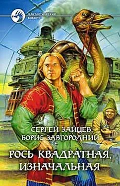 Борис Завгородний Рось квадратная, изначальная обложка книги