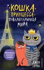 Джон Хитон - Принцесса спасает Париж