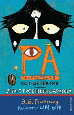 Эми Батлер Гринфилд Секрет гробницы фараона обложка книги