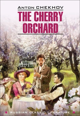 Anton Chekhov The Cherry Orchard / Вишневый сад. Книга для чтения на английском языке обложка книги
