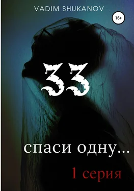 Вадим Шуканов 33 обложка книги
