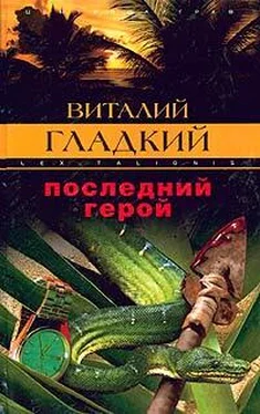 Виталий Гладкий Последний герой обложка книги