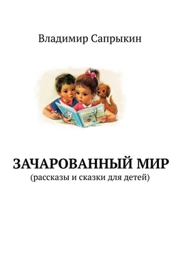 Владимир Сапрыкин Зачарованный мир. Рассказы и сказки для детей обложка книги
