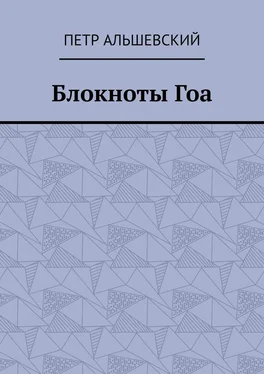 Петр Альшевский Блокноты Гоа обложка книги