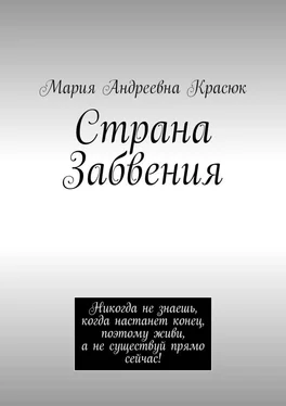 Мария Красюк Страна Забвения обложка книги