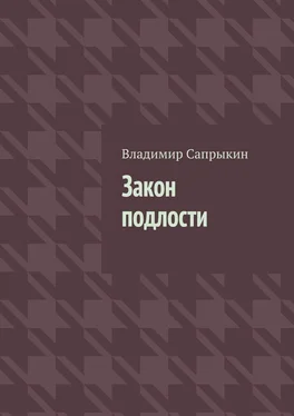 Владимир Сапрыкин Закон подлости. Прозаические миниатюры обложка книги