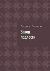 Владимир Сапрыкин - Закон подлости. Прозаические миниатюры