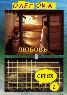 Олег Ока Любовь в сетях – 2 обложка книги