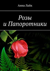 Анна Лайк - Розы и Папоротники