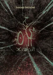 Александр Звагельский - Он живой