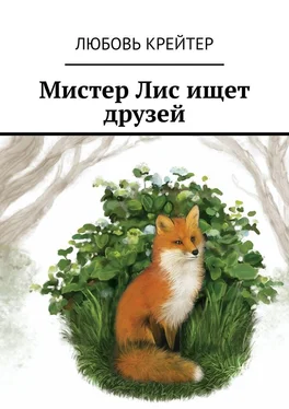 Любовь Крейтер Мистер Лис ищет друзей обложка книги