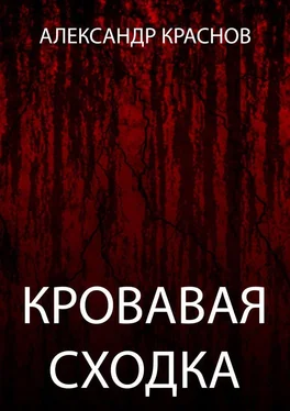 Александр Краснов Кровавая сходка обложка книги