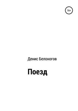 Денис Белоногов Поезд обложка книги